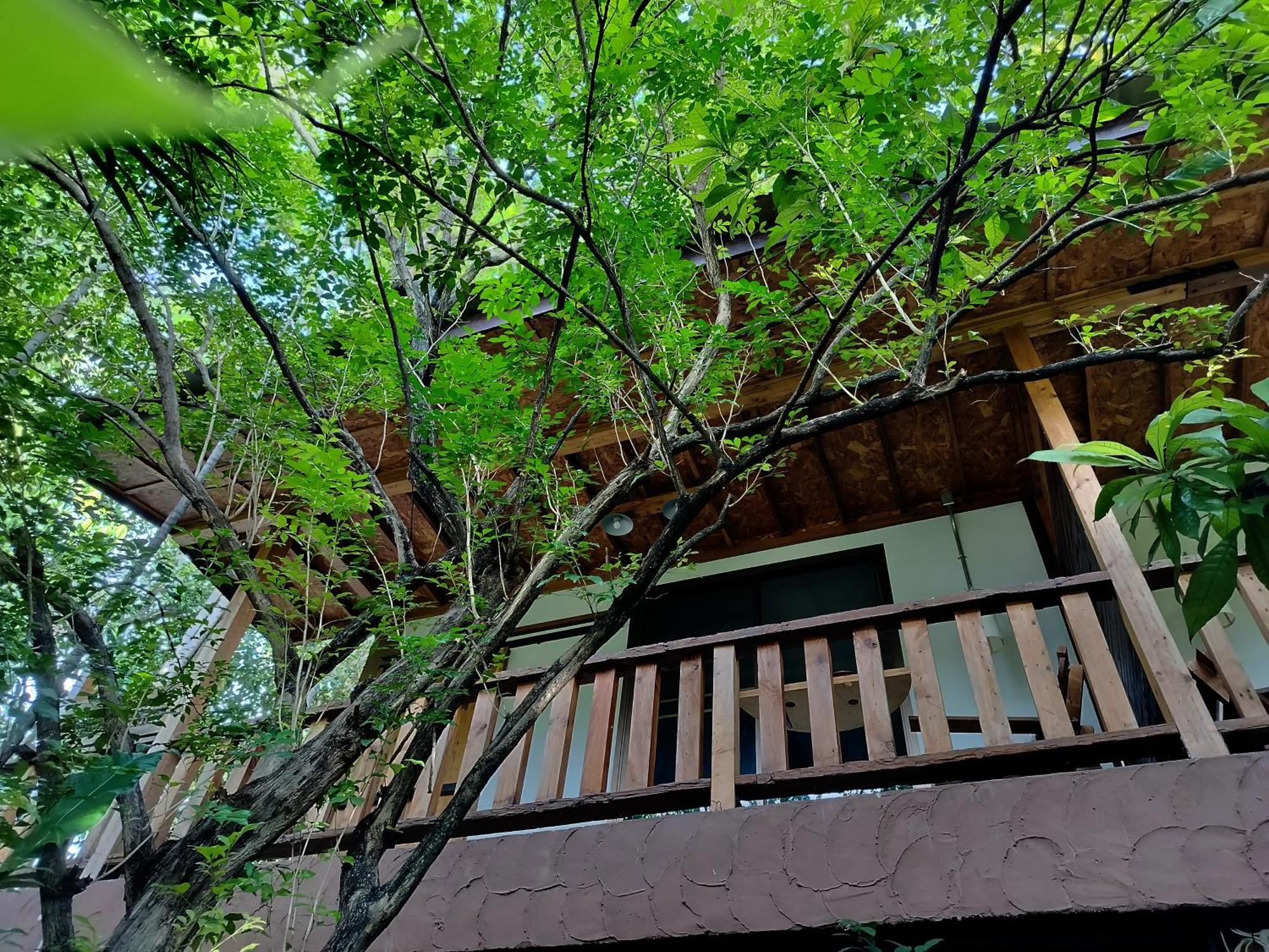 Oldy De Garden Aparthotel Chiang Mai Luaran gambar