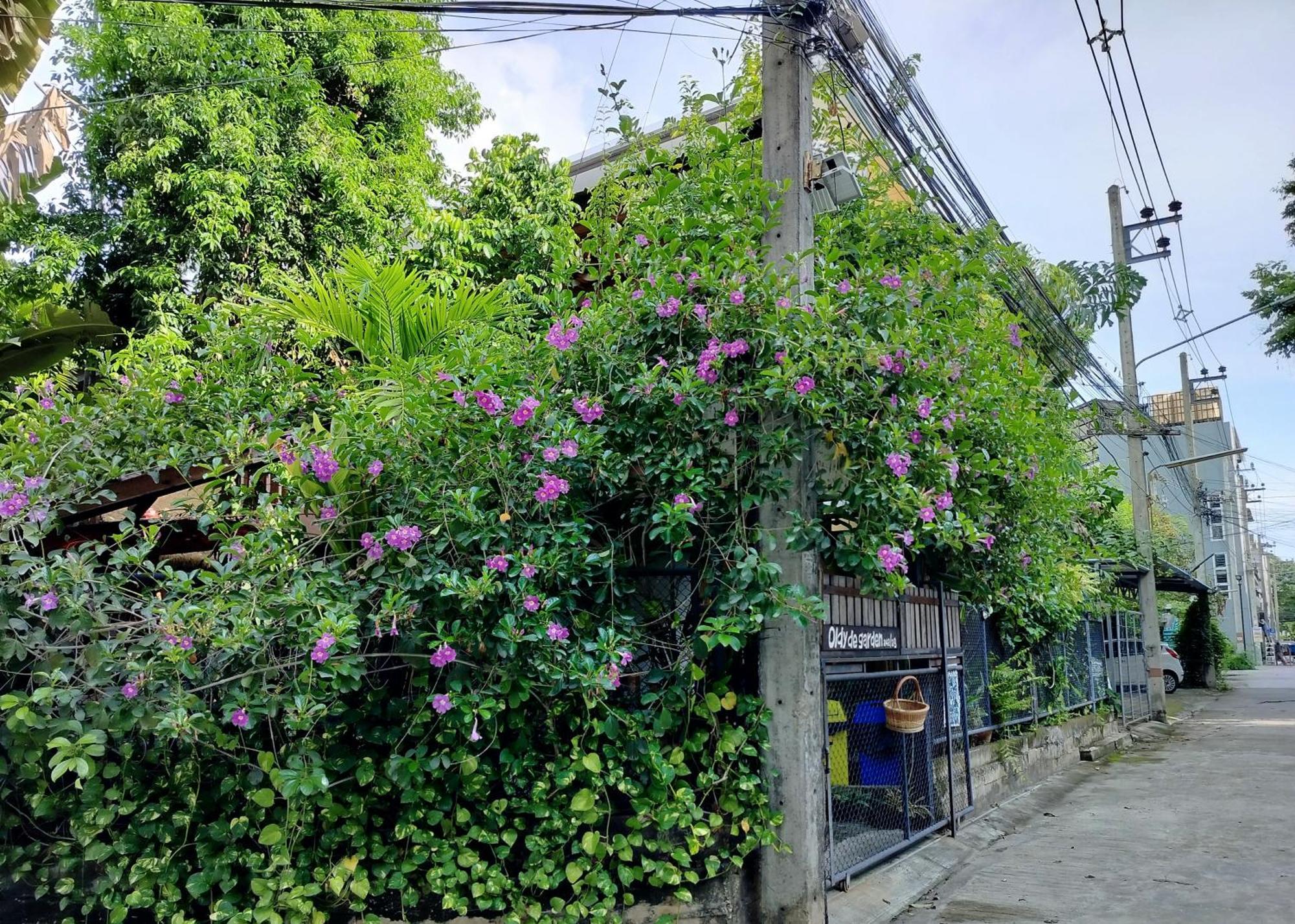 Oldy De Garden Aparthotel Chiang Mai Luaran gambar